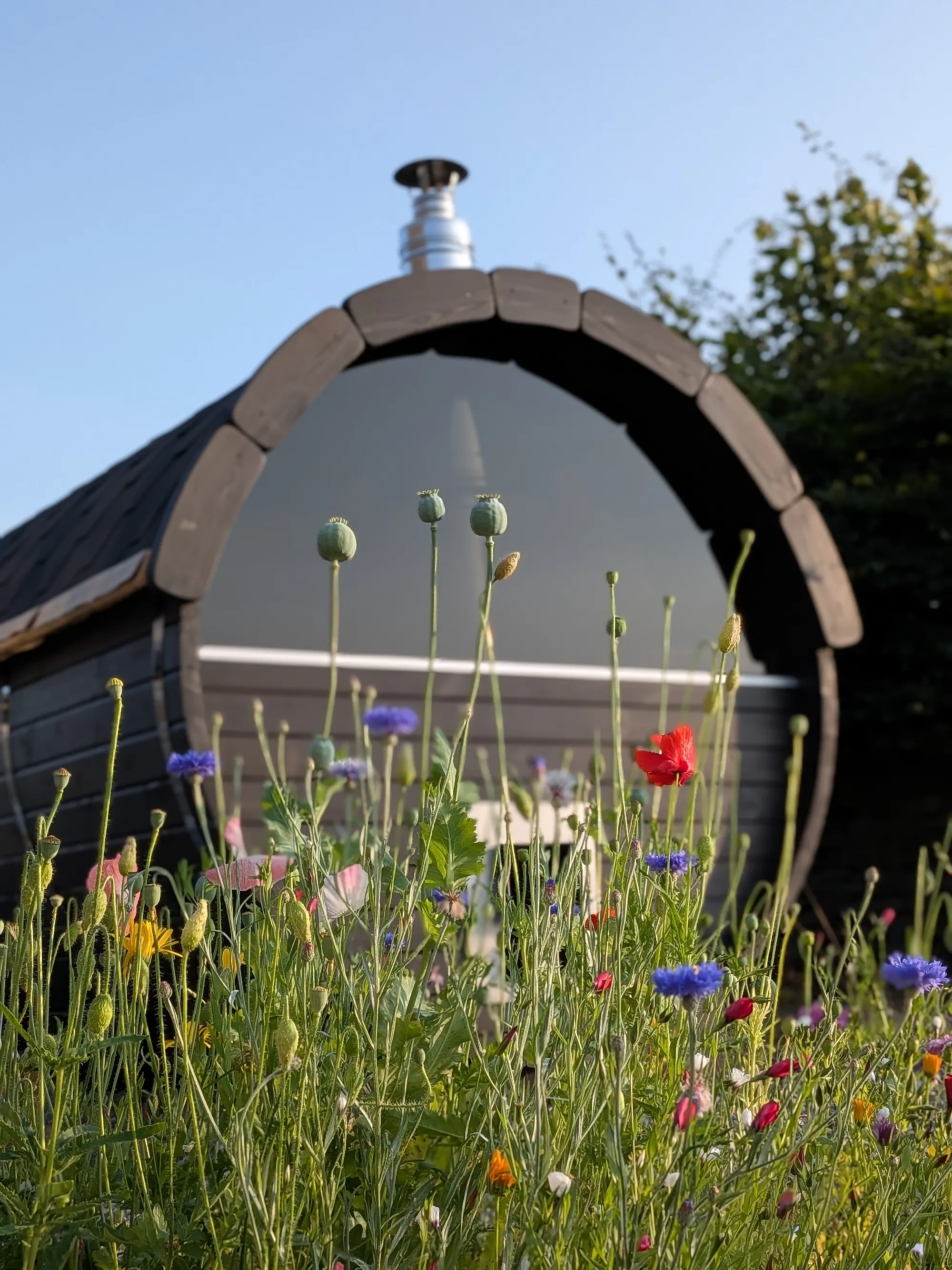 Barrel sauna behind a bed of summer wildflowers